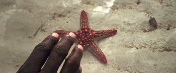 Movie still from “Uphill in Helsinki” (2022), directed by Sami Laitinen – A person holding a red starfish on the ground; Extreme Close Up shot, Overhead angle