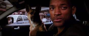 Movie still from “I Am Legend” (2007), directed by Francis Lawrence – A person and a dog in a car; Close Up shot, Over the shoulder angle