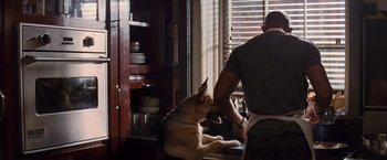 Movie still from “I Am Legend” (2007), directed by Francis Lawrence – A man and a dog in a kitchen by a window; Medium shot, Over the shoulder angle