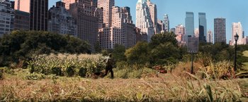 Movie still from “I Am Legend” (2007), directed by Francis Lawrence – A man walking a dog in a field near tall buildings; Extreme Wide shot, High angle