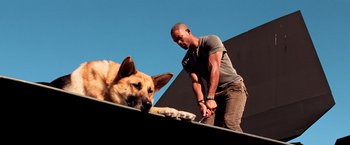 Movie still from “I Am Legend” (2007), directed by Francis Lawrence – A man standing next to a dog on top of a building; Wide shot, Low angle