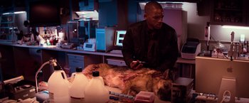 Movie still from “I Am Legend” (2007), directed by Francis Lawrence – A man cutting a dog's fur on a table; Medium shot, High angle
