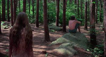 Movie still from “I Spit on Your Grave” (1978), directed by Meir Zarchi – A man sitting on top of a rock in the woods; Wide shot, Over the shoulder angle
