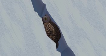 Movie still from “Ice Age” (2002), directed by Chris Wedge – An owl is peeking out of a hole in the wall; Extreme Close Up shot, Overhead angle