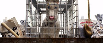 Movie still from “Isle of Dogs” (2018), directed by Wes Anderson – A dog in a metal cage with its tongue hanging out; Close Up shot, Overhead angle