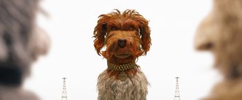 Movie still from “Isle of Dogs” (2018), directed by Wes Anderson – A brown dog with a collar and tag on it's neck; Extreme Close Up shot, High angle