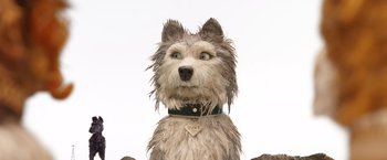 Movie still from “Isle of Dogs” (2018), directed by Wes Anderson – A wet dog with a collar and name tag on it's neck; Medium shot, High angle
