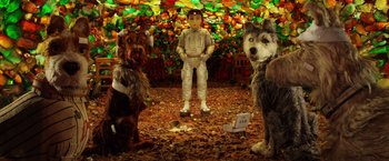 Movie still from “Isle of Dogs” (2018), directed by Wes Anderson – A group of dogs standing next to each other in a room; Wide shot, Low angle