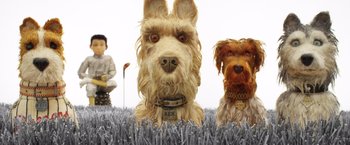 Movie still from “Isle of Dogs” (2018), directed by Wes Anderson – A group of dogs that are sitting in the grass; Close Up shot, Low angle