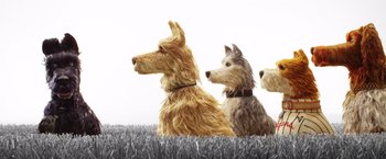 Movie still from “Isle of Dogs” (2018), directed by Wes Anderson – A group of dogs sitting on top of a grass covered field; Close Up shot, Low angle