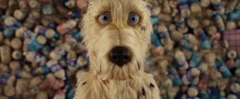 Movie still from “Isle of Dogs” (2018), directed by Wes Anderson – A stuffed animal dog with blue eyes and white fur; Close Up shot, High angle