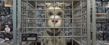 Movie still from “Isle of Dogs” (2018), directed by Wes Anderson – A dog in a cage looking at the camera; Close Up shot, Overhead angle