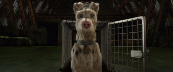 Movie still from “Isle of Dogs” (2018), directed by Wes Anderson – A large dog with a collar and tag on it's neck; Close Up shot, Overhead angle