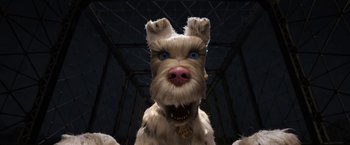 Movie still from “Isle of Dogs” (2018), directed by Wes Anderson – A stuffed animal dog with blue eyes and a collar; Close Up shot, Low angle
