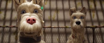 Movie still from “Isle of Dogs” (2018), directed by Wes Anderson – Two stuffed animals are sitting next to each other in a cage; Close Up shot, Overhead angle