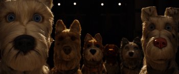 Movie still from “Isle of Dogs” (2018), directed by Wes Anderson – A group of stuffed dogs standing next to each other; Close Up shot, Low angle