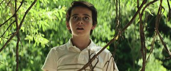 Movie still from “It” (2017), directed by Andy Muschietti – A young boy looking up at a tree branch; Close Up shot, Low angle