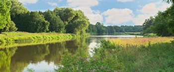 Movie still from “It” (2017), directed by Andy Muschietti – A body of water surrounded by green trees and bushes; Extreme Wide shot, High angle