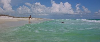Movie still from “Jaws 2” (1978), directed by Jeannot Szwarc – A man standing on the beach looking out at the ocean; Extreme Wide shot, High angle