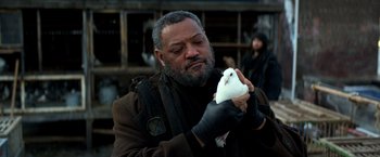 Movie still from “John Wick: Chapter 2” (2017), directed by Chad Stahelski – A man holding a white bird in his hand; Close Up shot, Low angle