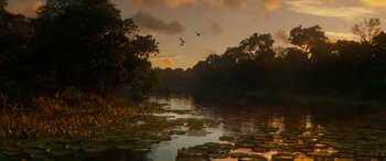 Movie still from “Jungle Cruise” (2021), directed by Jaume Collet-Serra – A body of water surrounded by a forest; Extreme Wide shot, High angle