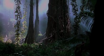 Movie still from “Jurassic Park III” (2001), directed by Joe Johnston – A forest with trees and plants in the background; Extreme Wide shot, Low angle