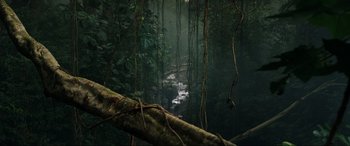 Movie still from “Jurassic World: Fallen Kingdom” (2018), directed by J.A. Bayona – A tree branch in the middle of a forest; Extreme Wide shot, High angle