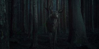 Movie still from “Kingdom: Ashin of the North” (2021), directed by Kim Seong-hun – A deer standing in the middle of a dark forest; Wide shot, Low angle