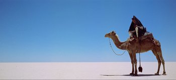 Movie still from “Lawrence of Arabia” (1962), directed by David Lean – A camel walking across a desert with a sky in the background; Extreme Wide shot, Low angle