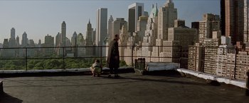 Movie still from “Léon: The Professional” (1994), directed by Luc Besson – A man standing on a roof with a dog; Extreme Wide shot, Low angle