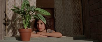 Movie still from “Léon: The Professional” (1994), directed by Luc Besson – A young girl sitting on a window ledge next to a potted plant; Close Up shot, Low angle