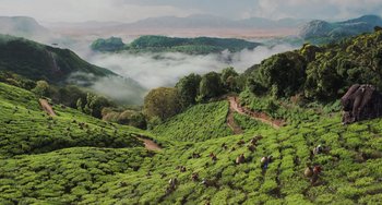 Movie still from “Life of Pi” (2012), directed by Ang Lee – A group of people walking through a lush green field; Extreme Wide shot, High angle