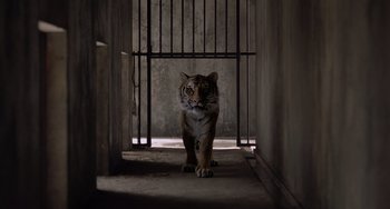Movie still from “Life of Pi” (2012), directed by Ang Lee – A tiger standing inside of a cage in a building; Wide shot, Low angle