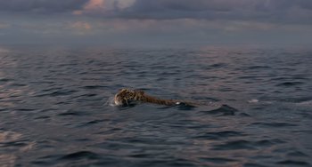 Movie still from “Life of Pi” (2012), directed by Ang Lee – A tiger is swimming in the water; Extreme Wide shot, High angle