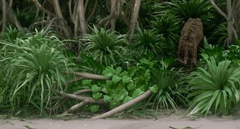 Movie still from “Life of Pi” (2012), directed by Ang Lee – A group of trees and plants in the sand; Wide shot, Low angle