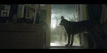 Movie still from “Lou” (2022), directed by Anna Foerster – A dog wearing a hat looking out of a window; Wide shot, Low angle