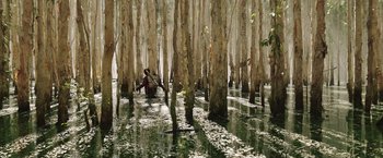 Movie still from “Love and Monsters” (2020), directed by Michael Matthews – A person sitting in the middle of a flooded forest; Extreme Wide shot, High angle