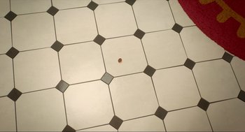 Movie still from “Luck” (2022), directed by Peggy Holmes – A penny sitting on top of a tile floor; Extreme Close Up shot, Overhead angle