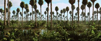 Movie still from “Lucy” (2014), directed by Luc Besson – An image of a very large forest with trees and plants; Extreme Wide shot, High angle