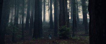 Movie still from “M3GAN” (2022), directed by Gerard Johnstone – A person standing in the middle of a forest; Extreme Wide shot, Low angle
