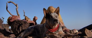 Movie still from “The Road Warrior” (1981), directed by George Miller – A dog laying on the ground; Medium shot, Low angle