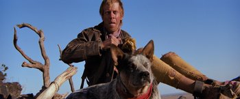 Movie still from “The Road Warrior” (1981), directed by George Miller – A man and a dog in a field; Medium shot, Low angle