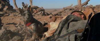 Movie still from “The Road Warrior” (1981), directed by George Miller – A dog is standing in the middle of the desert; Wide shot, High angle