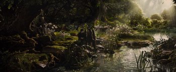 Movie still from “Maleficent” (2014), directed by Robert Stromberg – Two people standing next to a body of water surrounded by flowers; Wide shot, High angle