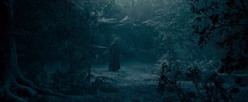 Movie still from “Maleficent” (2014), directed by Robert Stromberg – A man in a black robe standing in the woods; Extreme Wide shot, High angle