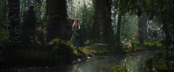Movie still from “Maleficent” (2014), directed by Robert Stromberg – A woman standing in the middle of a forest near a body of water; Wide shot, Over the shoulder angle