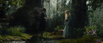 Movie still from “Maleficent” (2014), directed by Robert Stromberg – A man and a woman standing in the woods; Wide shot, Low angle