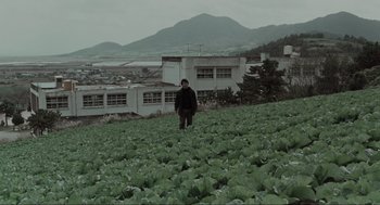 Movie still from “Memories of Murder” (2003), directed by Bong Joon Ho – A man standing in a field of lettuce in front of a building; Extreme Wide shot, High angle