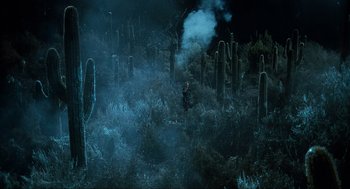 Movie still from “Men in Black” (1997), directed by Barry Sonnenfeld – A person standing in a field with a lot of cacti; Extreme Wide shot, High angle