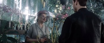 Movie still from “Minority Report” (2002), directed by Steven Spielberg – An older woman wearing a hat standing next to plants; Medium shot, Over the shoulder angle